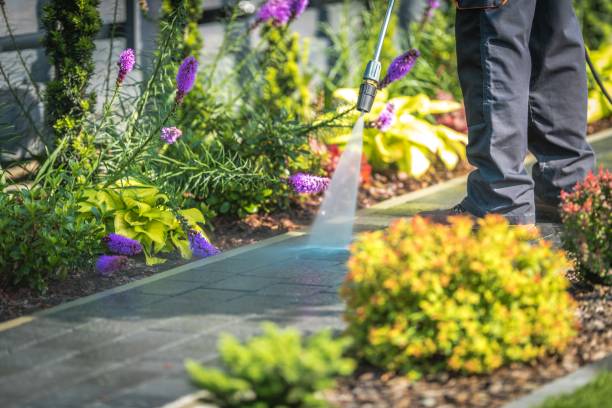 Best Parking Lot and Garage Cleaning  in Quartz Hill, CA